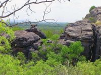 Kakadu NP